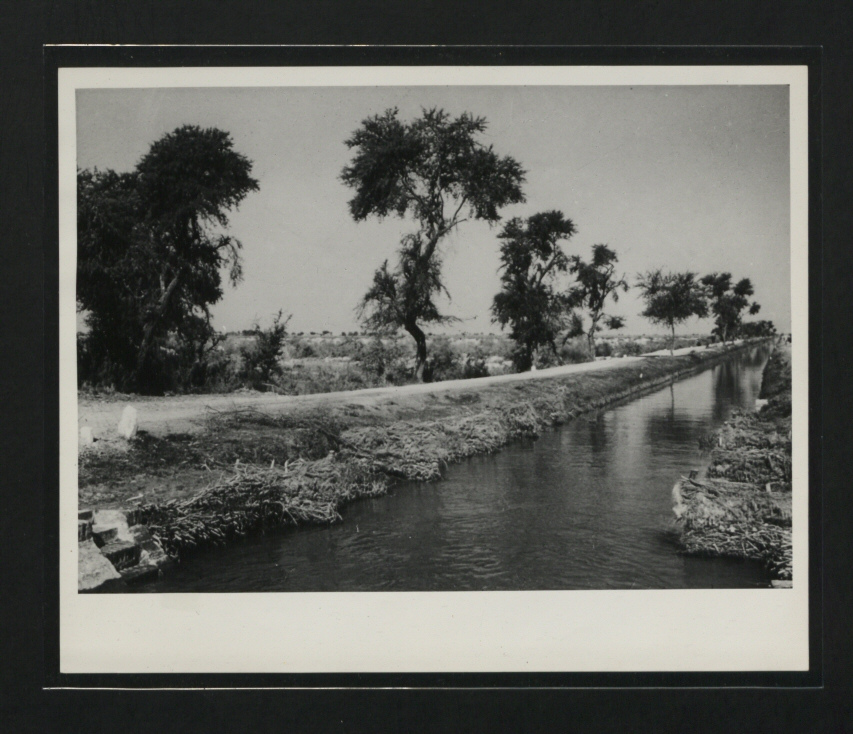 Navrang Guelph