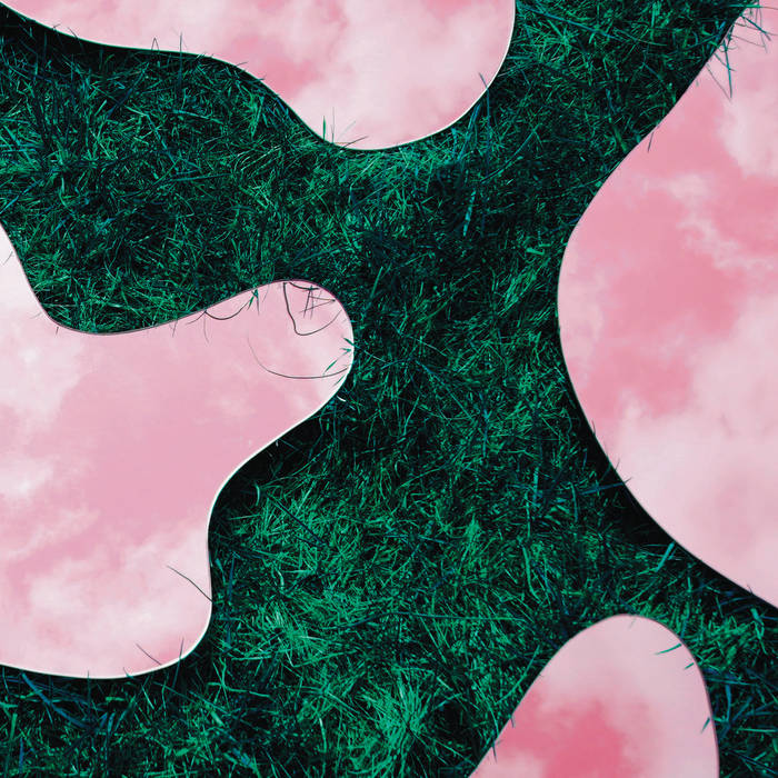 album cover is an abstract design that appears to show pink cutouts of the sky on top of green grass
